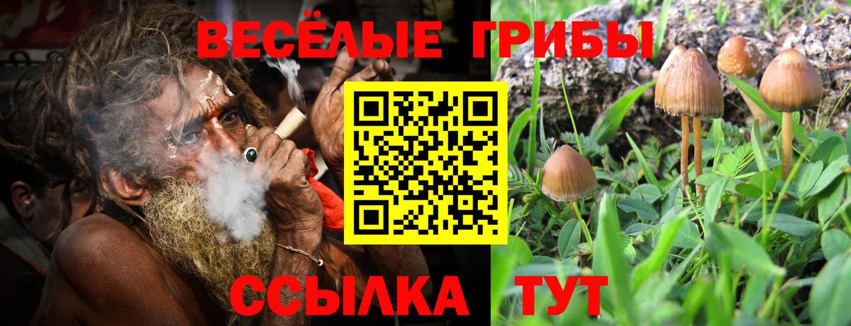Галлюциногенные грибы мицелий Тюмень