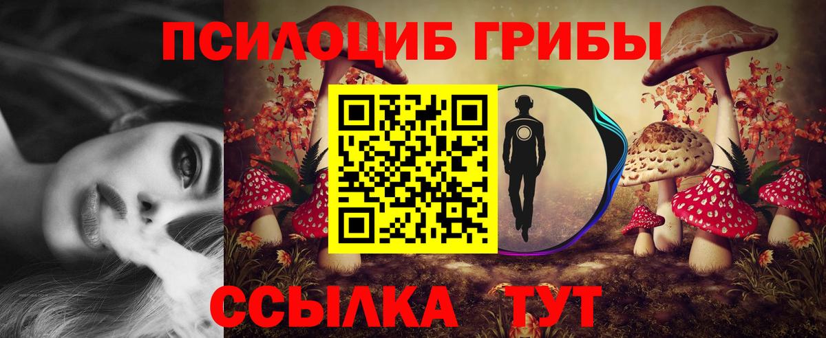 Галлюциногенные грибы прущие грибы  Галлюциногенные грибы Cubensis  Тюмень 